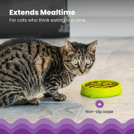 CATSTAGES Kitty Slow Feeder, Zaļa, S, Lēnēšanas bļoda, 1 gab.