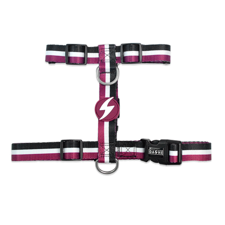 DASHI Stripes3 Purple&Black L iemaukti, 1 gab.