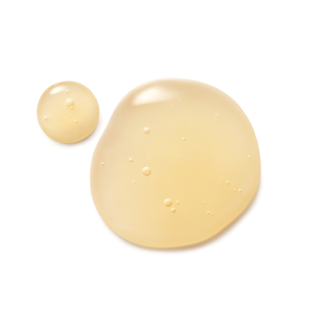 DR.HAUSCHKA Med Ice Plant šampūns, 150 ml