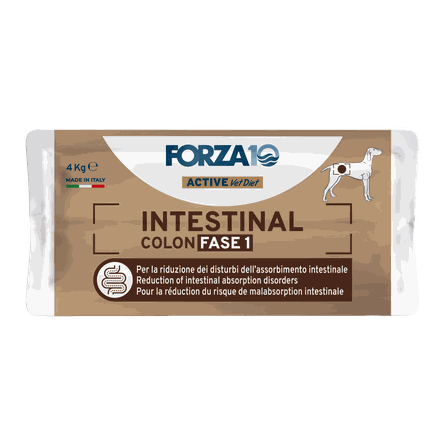 FORZA10 Active Vetdiet Intestinal Colon Fase 1, Suņiem sausā barība, 4 kg