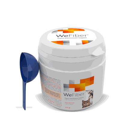 WEPHARM WeFiber pulveris, 225 g