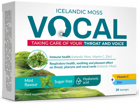VOCAL  Ha Mint Flavour pastilas, 24 gab.