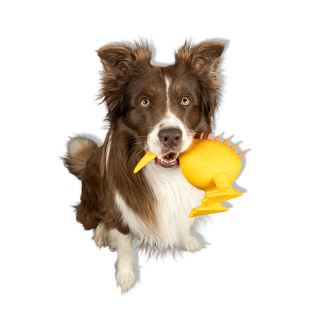 KIWI WALKER Whistle, L Izmēra, Oranža, Lateksa rotaļlieta, 1 gab.