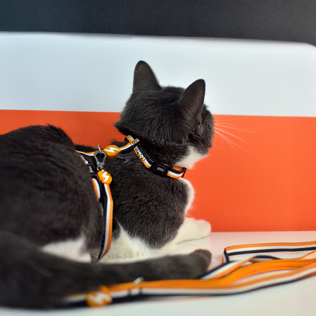 DASHI Stripes3 Orange&Black pavada, 1 gab.