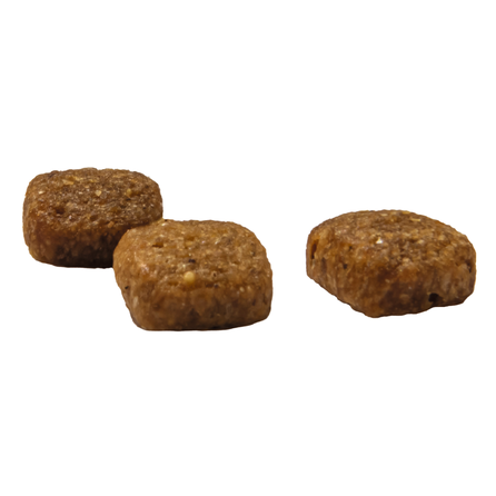 PRINS VitalCare Senior sausā barība, 400 g