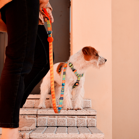 DASHI Terracotta L pavada, 1 gab.