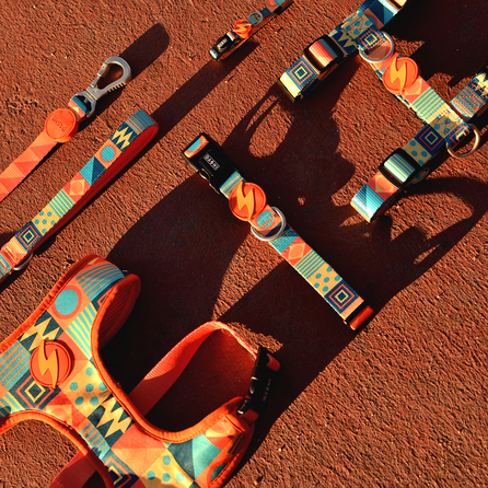 DASHI Terracotta XS kakla siksna, 1 gab.