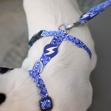 DASHI Zillij  S iemaukti, 1 gab.