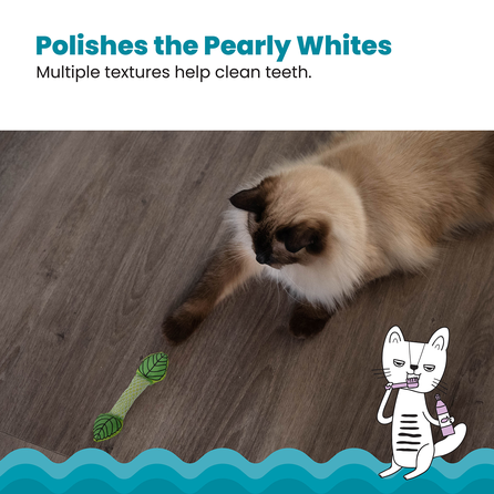CATSTAGES Fresh Breath Mint Stick Zaļa rotaļlieta, 1 gab.