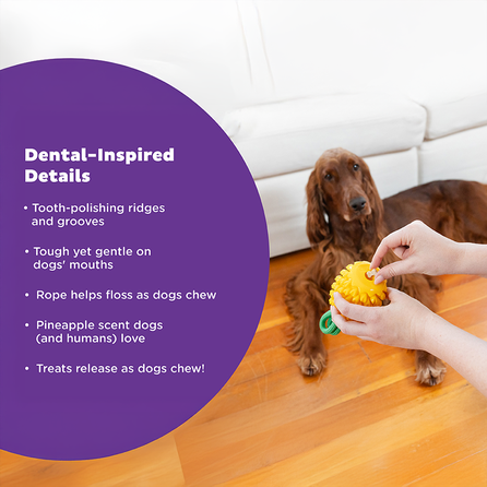 OUTWARD HOUND Dental Pineapple, Dzeltena rotaļlieta, 1 gab.