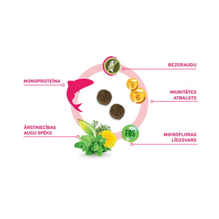 FORZA10 Monodiet Sensitive Digestion Medium /Maxi Adult Ar Zivi, Suņiem sausā barība, 10 kg