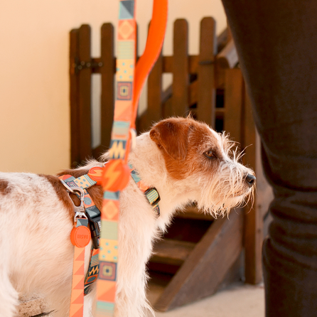 DASHI Terracotta L pavada, 1 gab.