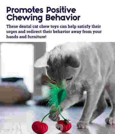 PETSTAGES Dental Cherries, Sarkana rotaļlieta, 1 gab.