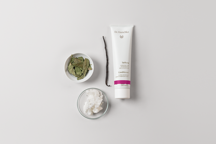 DR.HAUSCHKA Hair matu kondicionieris, 150 ml