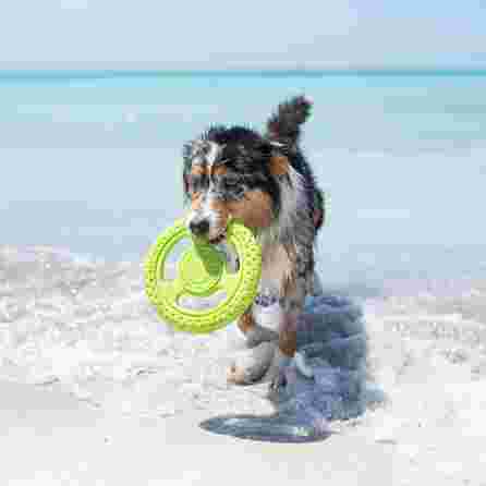 KIWI WALKER TPG Frisbijs, Mini- Zila rotaļlieta, 1 gab.