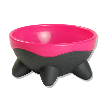 KIWI WALKER UFO, Rozā, M bļoda, 1 gab.