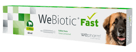 WEPHARM WeBiotic Fast pasta, 60 ml