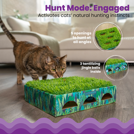 CATSTAGES Grass Patch Hunting Box, Zaļa, S rotaļlieta, 1 gab.