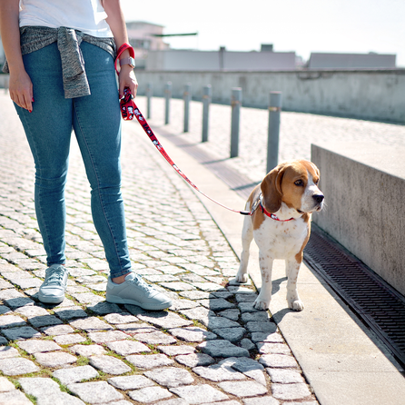 DASHI Vintage Betty XS pavada, 1 gab.