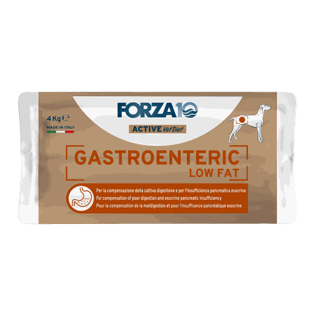 FORZA10 Active VetDiet Intestinal Colon Fase 1 Ar Jēru/Sorgo, Suņiem sausā barība, 4 kg