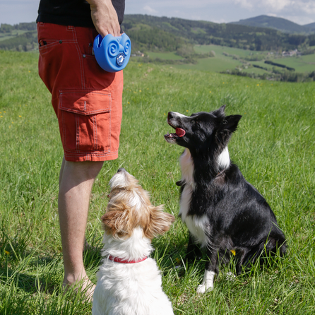 KIWI WALKER Zils, Silikona kārumu somiņa, 1 gab.