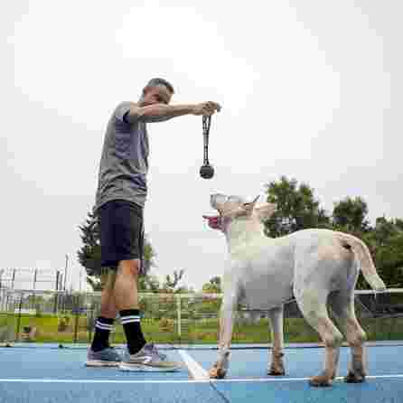 DASHI Black Rubber Ball rotaļlieta, 1 gab.