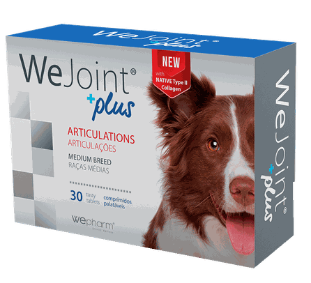 WEPHARM WeJoint Plus vidējo Šķirņu Suņiem tabletes, 30 gab.