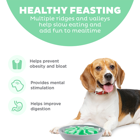 OUTWARD HOUND Fun Feeder Wobble Slow Bowl, Gaiši Zaļa, Lēnēšanas rotaļlieta, 1 gab.