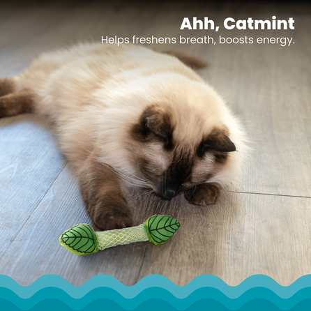 CATSTAGES Fresh Breath Mint Stick Zaļa rotaļlieta, 1 gab.