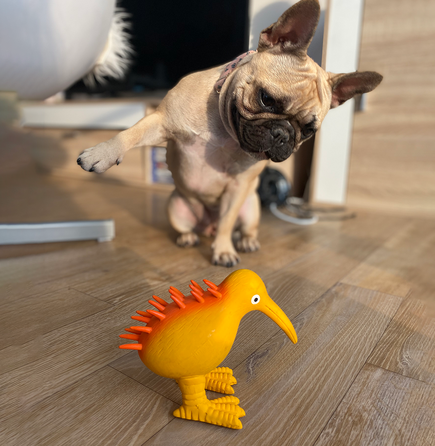 KIWI WALKER Whistle, Ar Baltu Ķiveri, One Size, Oranža, Lateksa rotaļlieta, 1 gab.