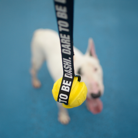 DASHI Suņiem Yellow Tpr Ball rotaļlieta, 1 gab.