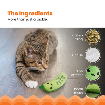 CATSTAGES Crunchy Pickle Kicker, Zaļa rotaļlieta, 1 gab.