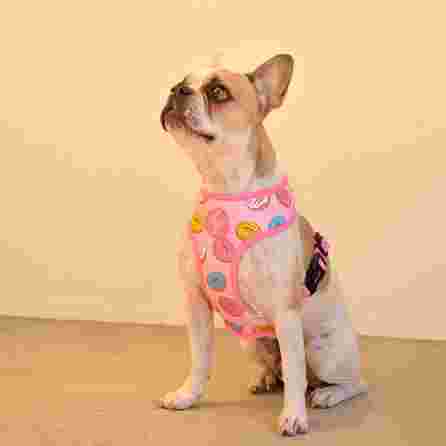 DASHI Donut Neo Mesh  XS iemaukti, 1 gab.