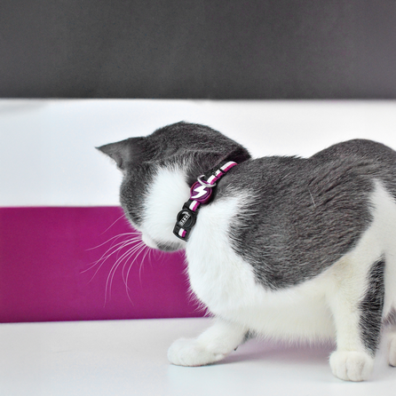 DASHI Stripes3 Purple&Black Kaķim kakla siksna, 1 gab.