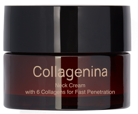 COLLAGENINA With 6 Collagens, Grade 2, Neck krēms, 50 ml