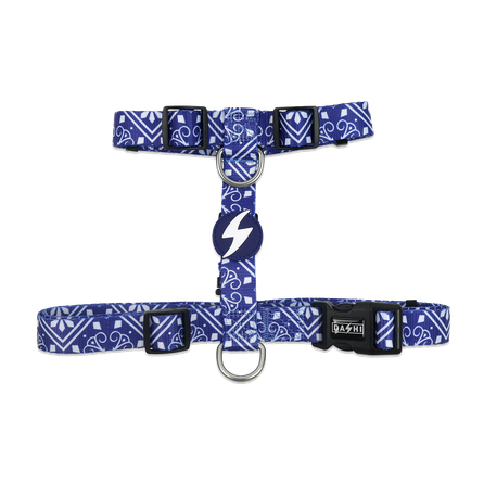 DASHI Zillij  S iemaukti, 1 gab.