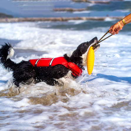 KIWI WALKER TPG Cepelīns, Maxi- Zila rotaļlieta, 1 gab.