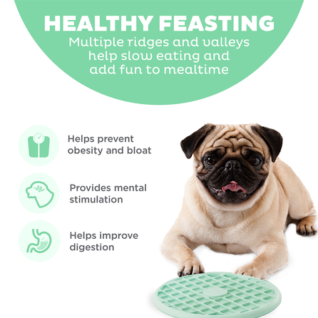 OUTWARD HOUND Fun Feeder Slo Tray, gaiši zaļa, L, Lēnēšanas rotaļlieta, 1 gab.