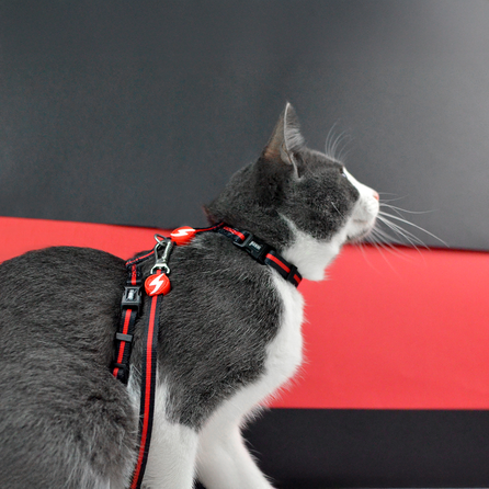 DASHI Stripes3 Red&Black pavada, 1 gab.