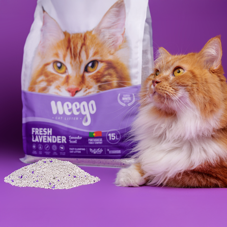 WEEGO Fresh Lavender cementējošās smiltis kaķiem, 15 L