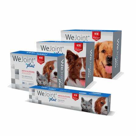WEPHARM WeJoint Plus pasta, 30 ml