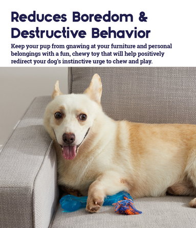 PETSTAGES Orka Bone Zila L rotaļlieta, 1 gab.