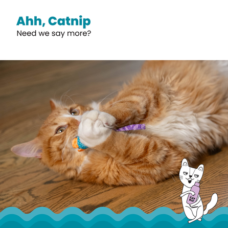 CATSTAGES Catnip Chew Mice rotaļlieta, 1 gab.