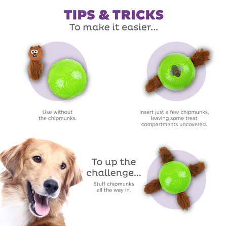 OUTWARD HOUND Puzle Snuffle N' Treat Ball, Zaļa, S rotaļlieta, 1 gab.