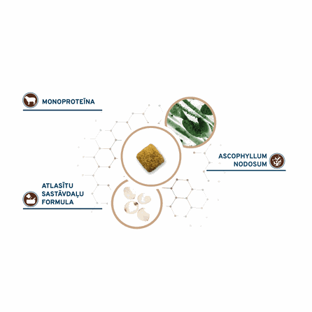 FORZA10 Active VetDiet Gastroenteric Low Fat sausā barība, 4 kg