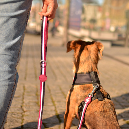 DASHI Stripes3 Purple&Black L pavada, 1 gab.