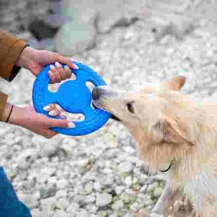 KIWI WALKER TPG Frisbijs, Mini- Zila rotaļlieta, 1 gab.