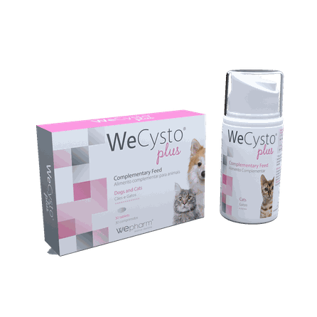 WEPHARM WeCysto Plus tabletes, 30 gab.
