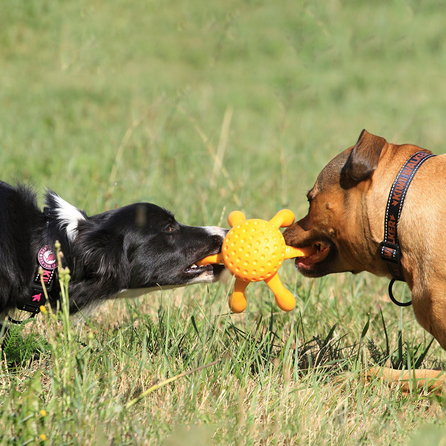 KIWI WALKER TPG Astoņkājis, Maxi- Oranža rotaļlieta, 1 gab.