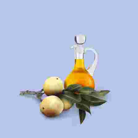 KADUS C.A.L.M šampūns, 1000 ml